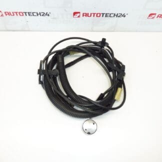 Antenneledninger Citroën C3 Pluriel 964515948002 6561Q8