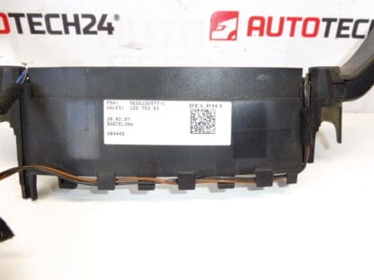 Delphi Citroën Peugeot Gearkassedrivere 9656126977 96561269XT 6242XJ