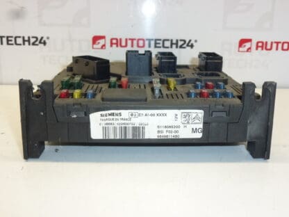 Siemens BSI F02-00 MG Citroën C3 C2 9649811480 1650881880