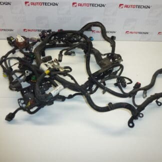 Citroën C4 Picasso hovedmotor sele 9674051780 9670855680 6585L0