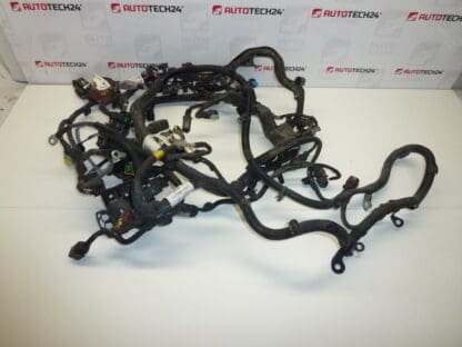 Citroën C4 Picasso hovedmotor sele 9674051780 9670855680 6585L0