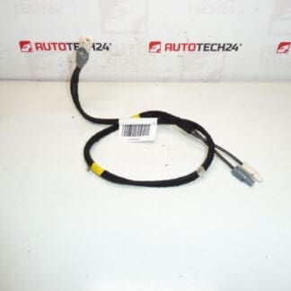 Antenne ledningsnet Citroën C4 II B7 og DS4 9675654480 6587C8