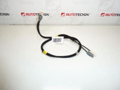 Antenne ledningsnet Citroën C4 II B7 og DS4 9675654480 6587C8