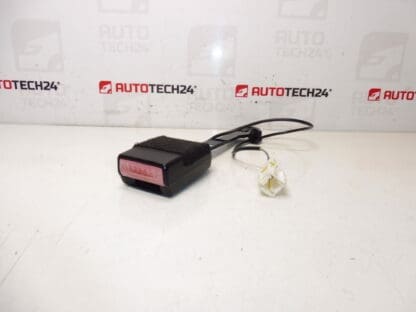 Passagerpasholder Peugeot 407 8973PV