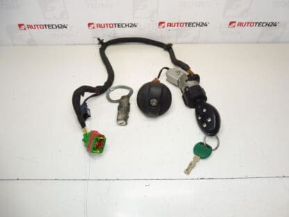Sæt af låse og Citroën C8 + 1 Switch Box 4162Y4 4162Y2