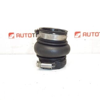 Turb 1.6 HDI Citroën Peugeot slange