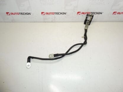 Et positivt bundt til batteriet Citroën Peugeot 1612229980