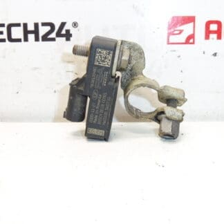 Bosch Citroën Peugeot 9838135480 batterioplader